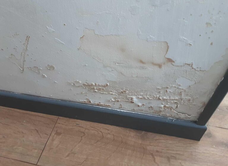 Moisissures sur les plinthes en bois d'une chambre avant traitement