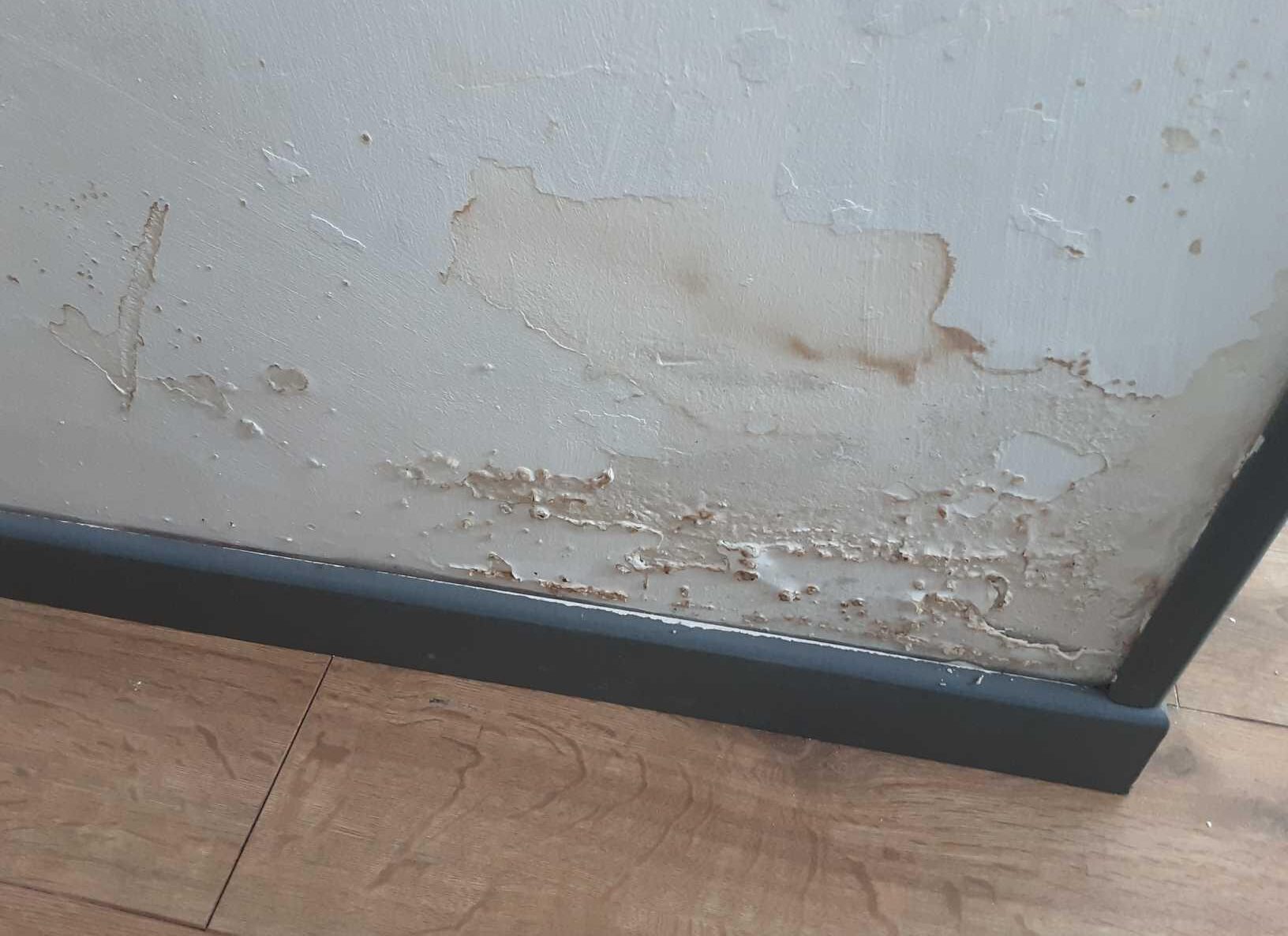Moisissures sur les plinthes en bois d'une chambre avant traitement