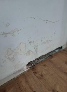 Moisissures sur les plinthes en bois d'une chambre avant traitement