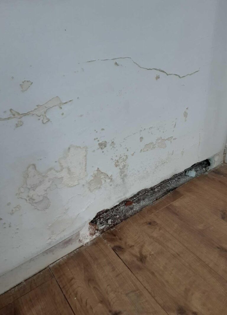 Moisissures sur les plinthes en bois d'une chambre avant traitement